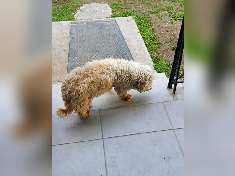 Casper sucht sein Glück