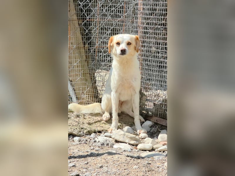 Lola sucht ihren sicheren Hafen