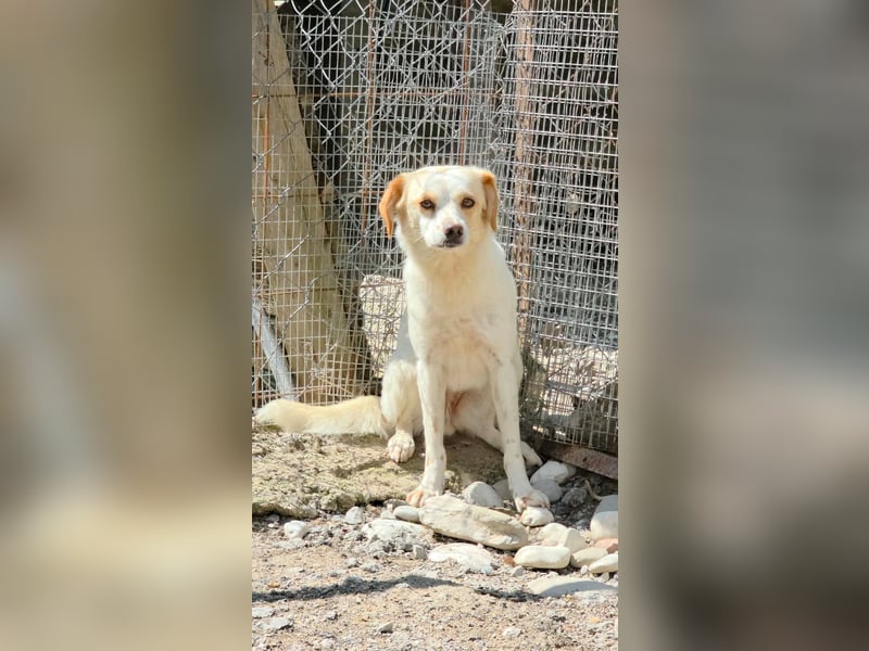Lola sucht ihren sicheren Hafen