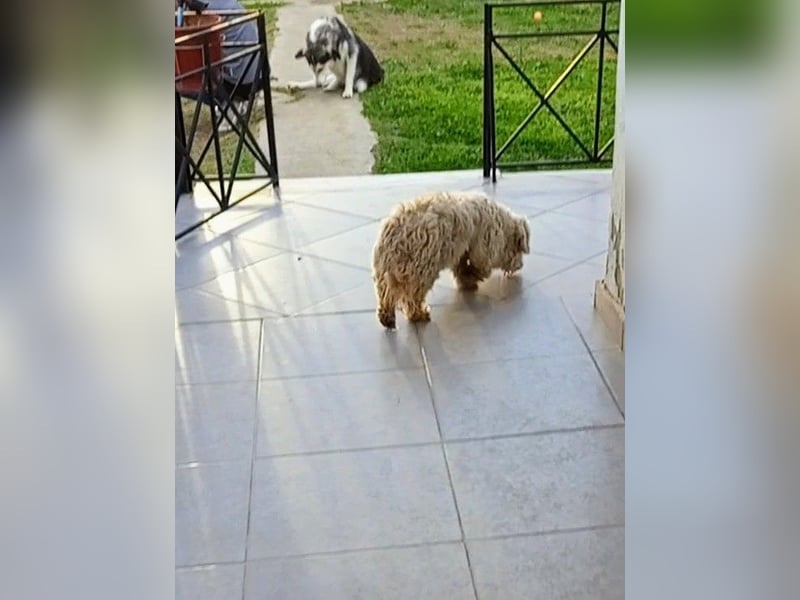 Casper sucht sein Glück