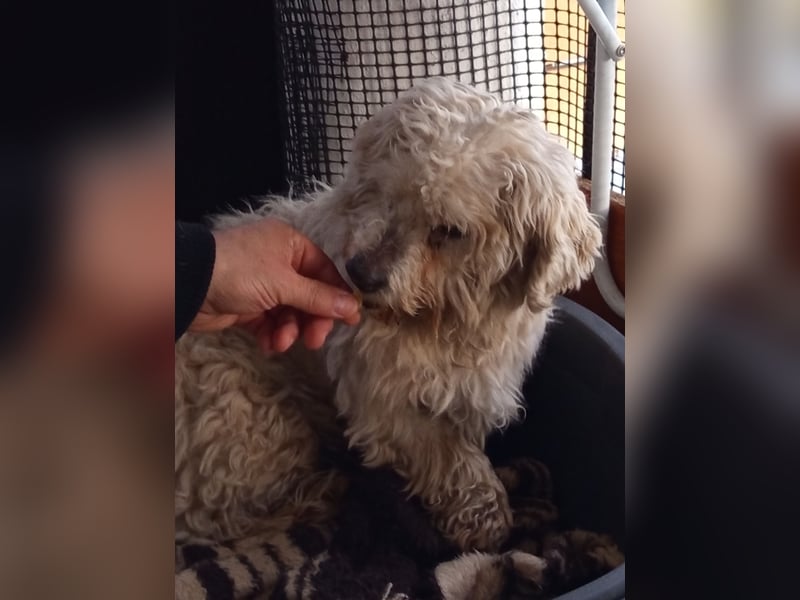 Casper sucht sein Glück
