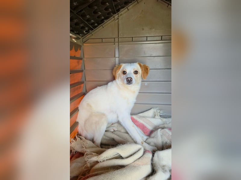 Lola sucht ihren sicheren Hafen