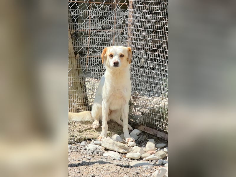 Lola sucht ihren sicheren Hafen