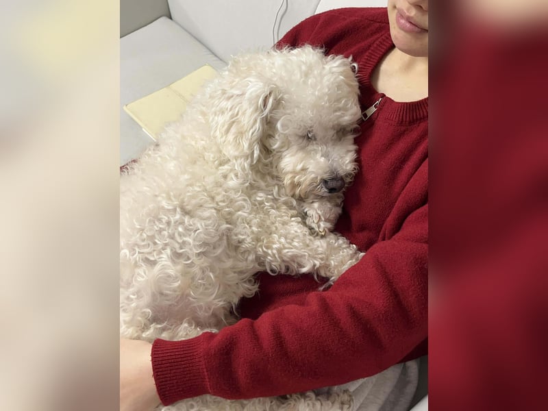 Nubis, intelligent und verfressen