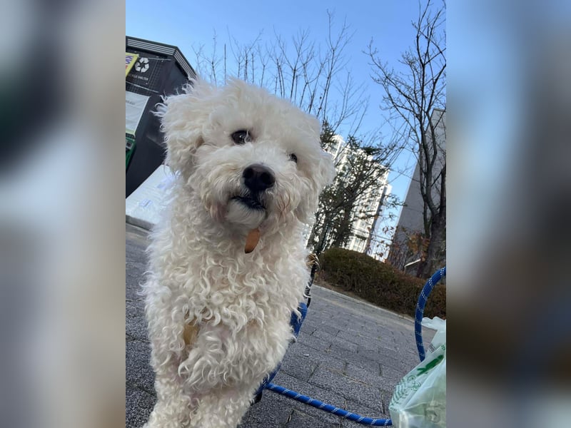 Nubis, intelligent und verfressen