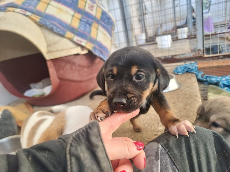 Katja - eine kleine Entdeckerin mit großem Herz