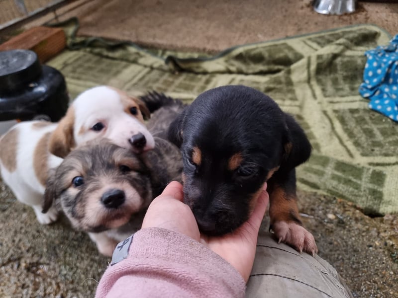 Katja - eine kleine Entdeckerin mit großem Herz