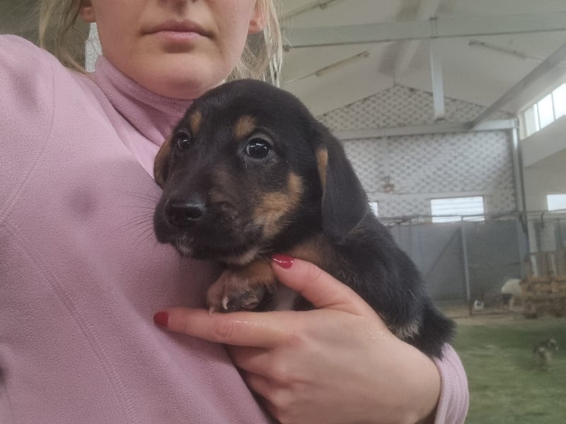 Katja - eine kleine Entdeckerin mit großem Herz