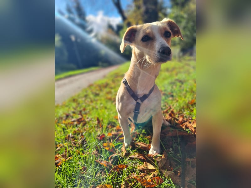 Ela - kleines Fräulein Fröhlich