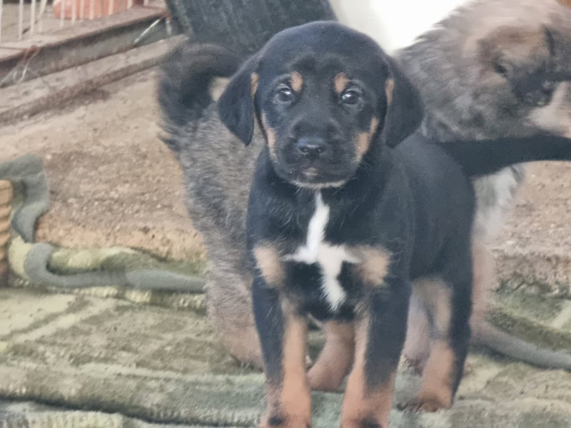 Katja - eine kleine Entdeckerin mit großem Herz