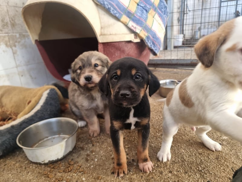 Katja - eine kleine Entdeckerin mit großem Herz