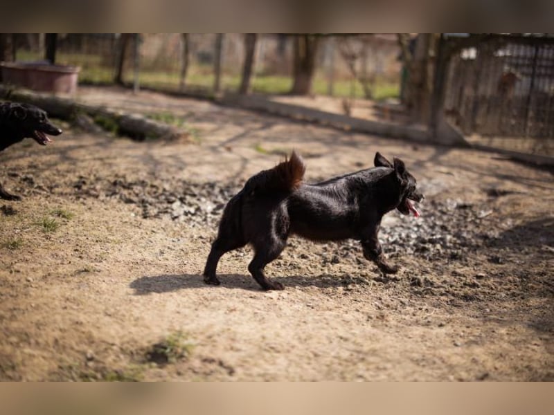 Wirbelwind Pili Mili