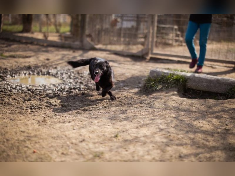 Wirbelwind Pili Mili