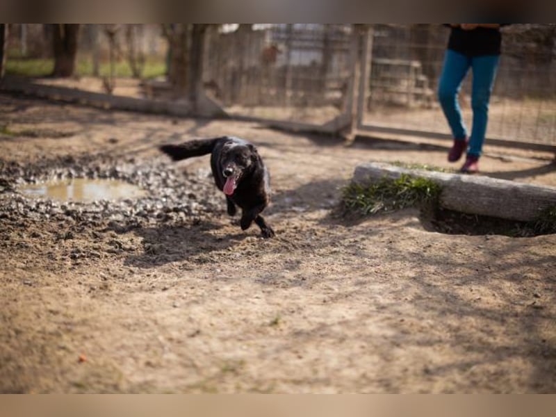 Wirbelwind Pili Mili