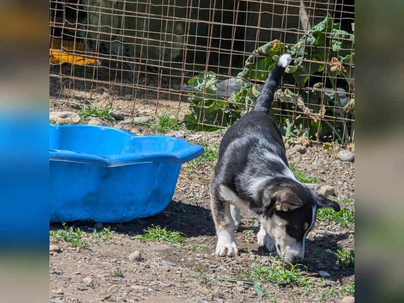 TAMINA - Zaubermaus sucht Familie