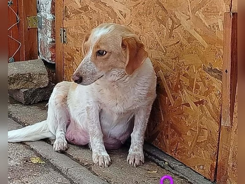 Lillyfee sucht Ihren eigenen Garten