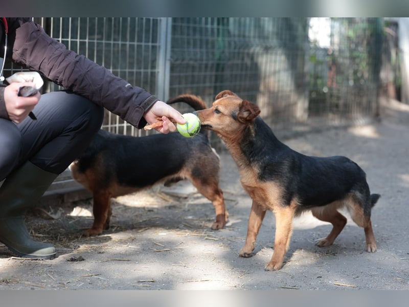 Bea will endlich ankommen