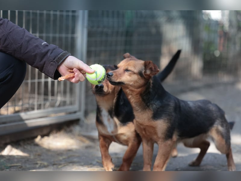Bea will endlich ankommen