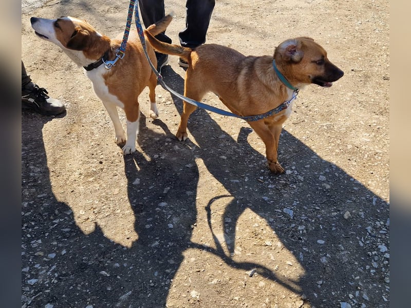 Zauberhafte Lusti sucht ihre Menschen