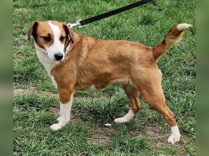 Zauberhafte Lusti sucht ihre Menschen