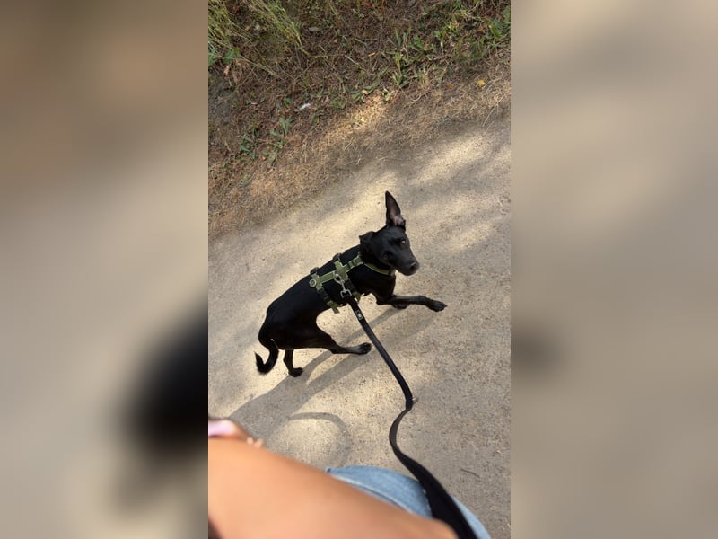 Kleiner Momo