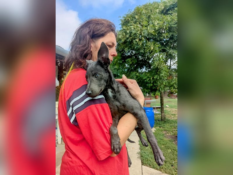 Fröhliche Szàri ab 14.12.25 in 59071 Hamm