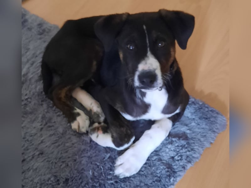 Süßer Moritz