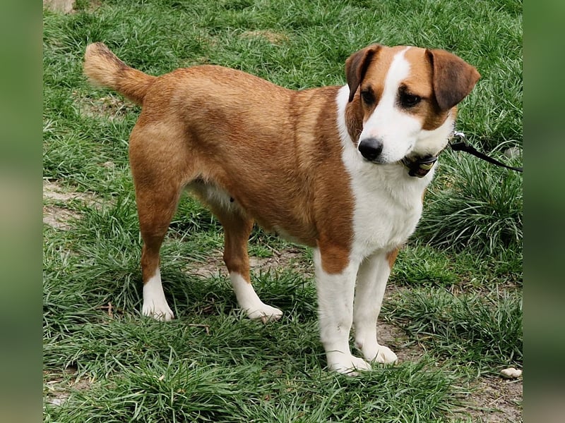 Zauberhafte Lusti sucht ihre Menschen