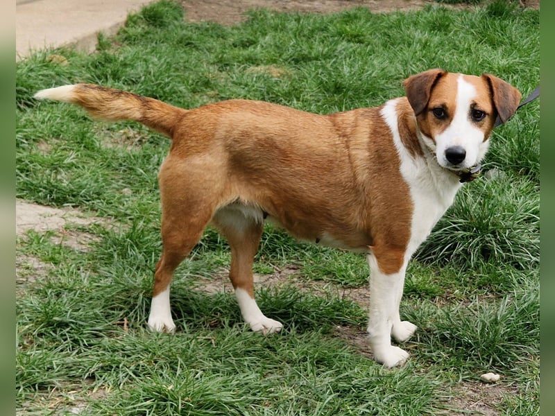 Zauberhafte Lusti sucht ihre Menschen