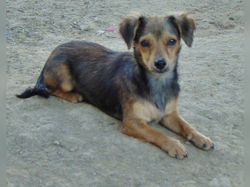 Gloria (Pflegestelle Essen NRW) hofft eine bessere Zukunft