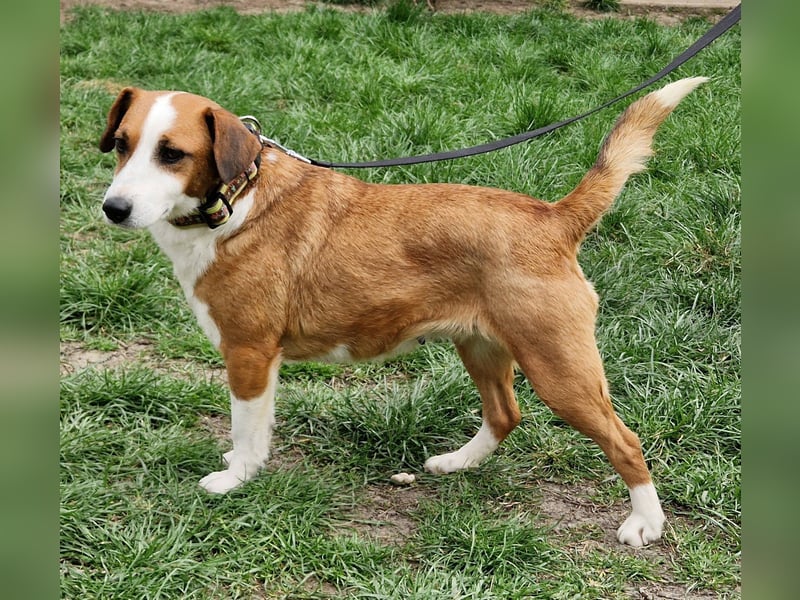 Zauberhafte Lusti sucht ihre Menschen