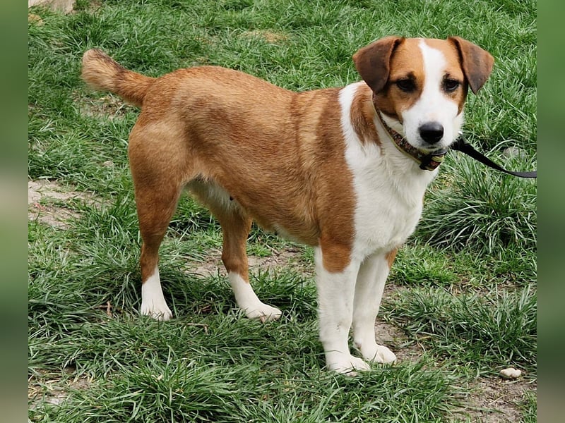 Zauberhafte Lusti sucht ihre Menschen