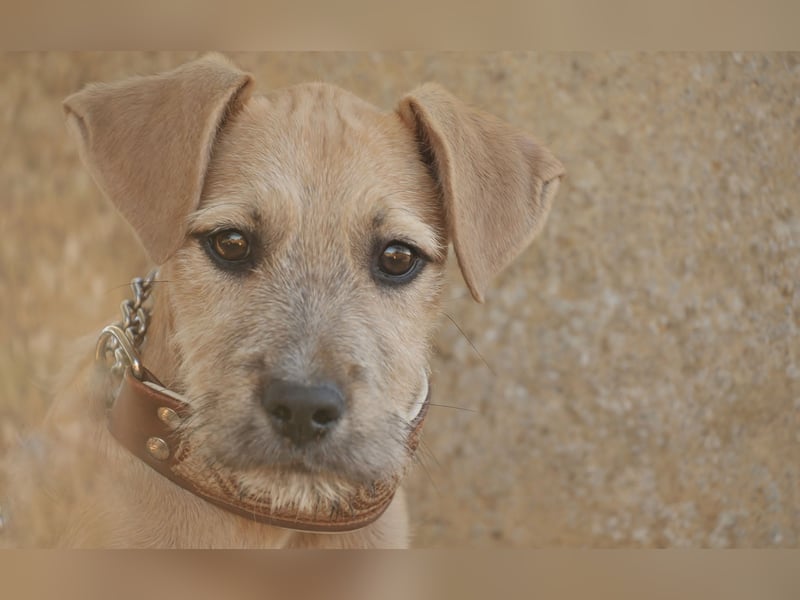 Zeigen Sie Rafael wie schön ein Zuhause ist?