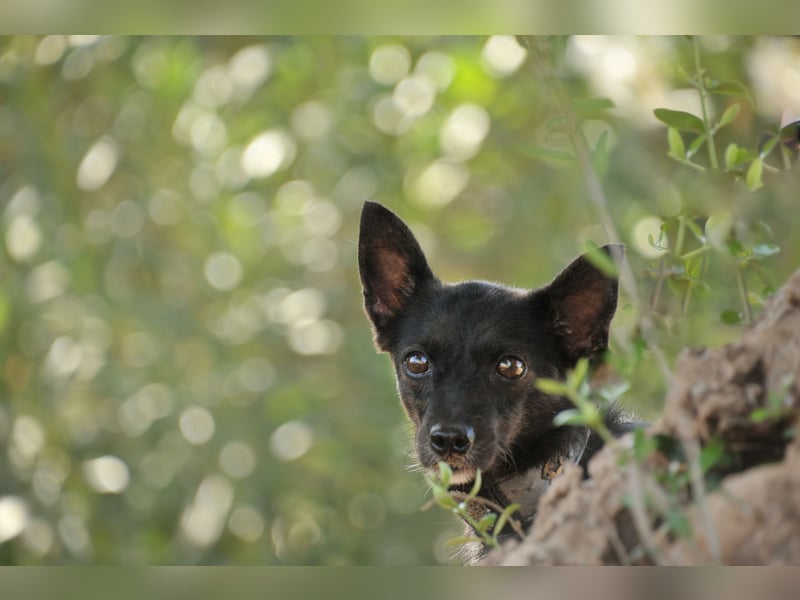Darf Mia bei dir ihr Glück finden?