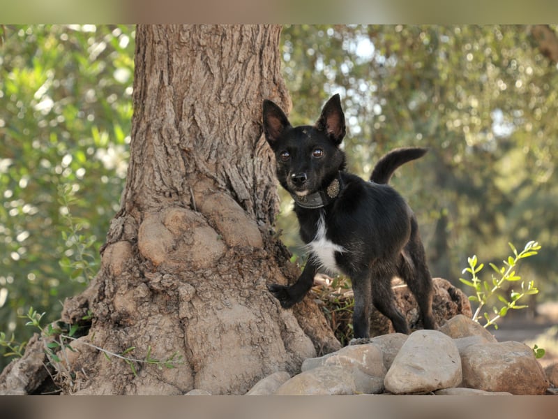 Darf Mia bei dir ihr Glück finden?