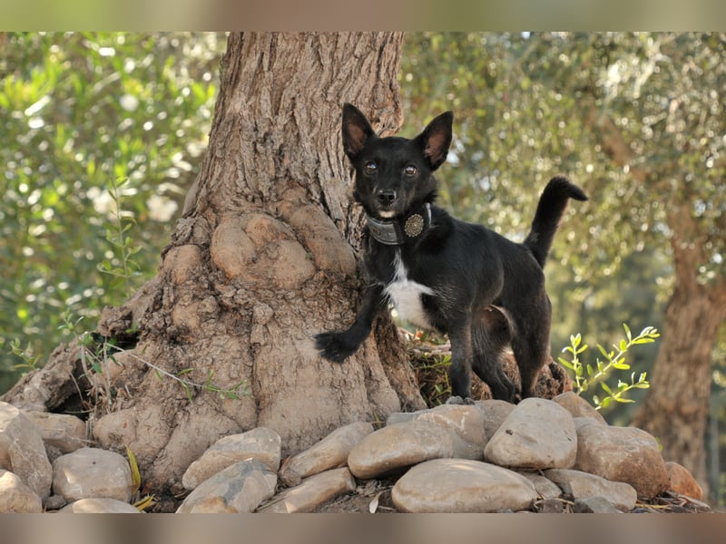 Darf Mia bei dir ihr Glück finden?