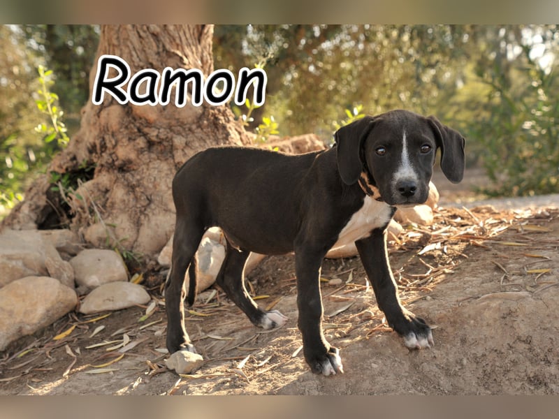 Zeigen Sie Ramon wie schön das Leben sein kann?