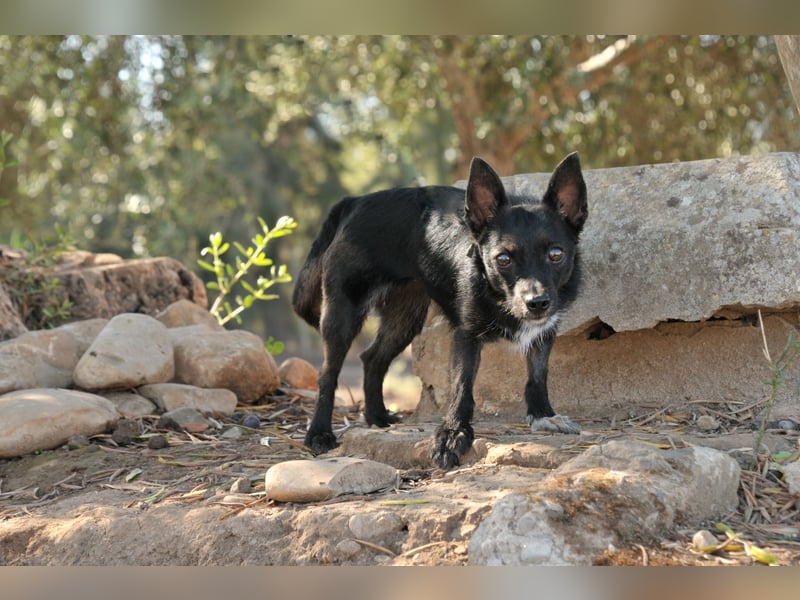 Darf Mia bei dir ihr Glück finden?