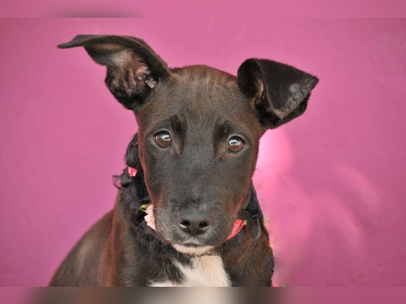 Zeigen Sie Raul, wie es ist, geliebt zu werden?