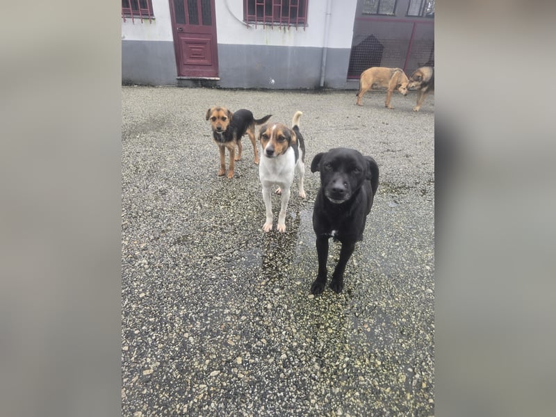 Wer zeigt Vinci wie schön ein eigenes Zuhause sein kann?