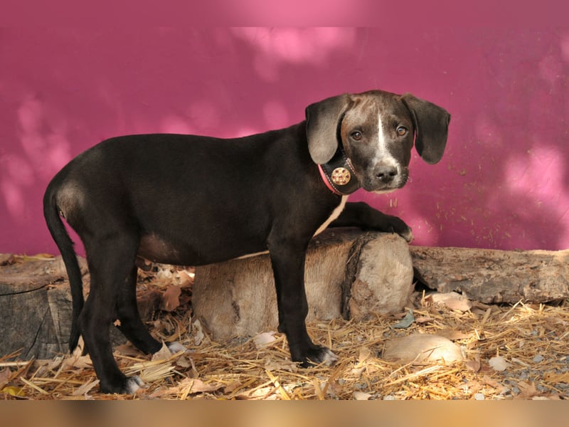 Zeigen Sie Ramon wie schön das Leben sein kann?