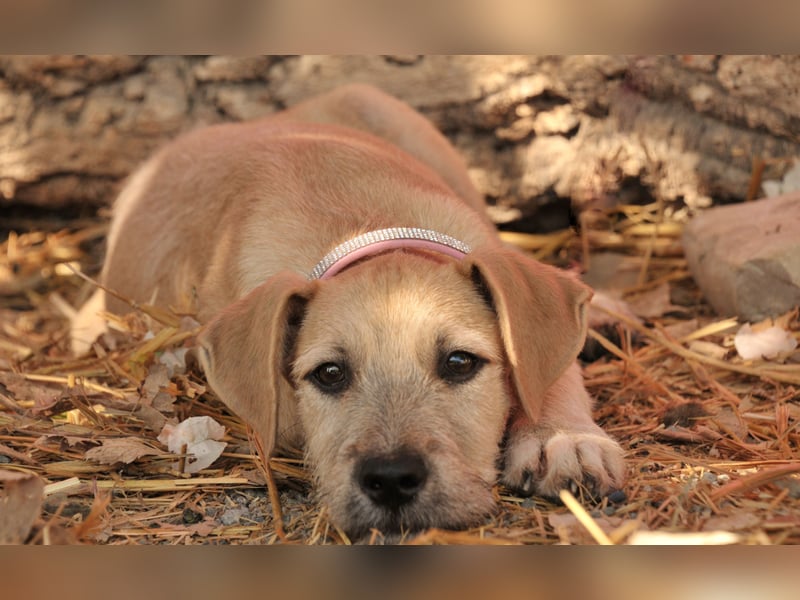 Zeigen Sie Rafael wie schön ein Zuhause ist?