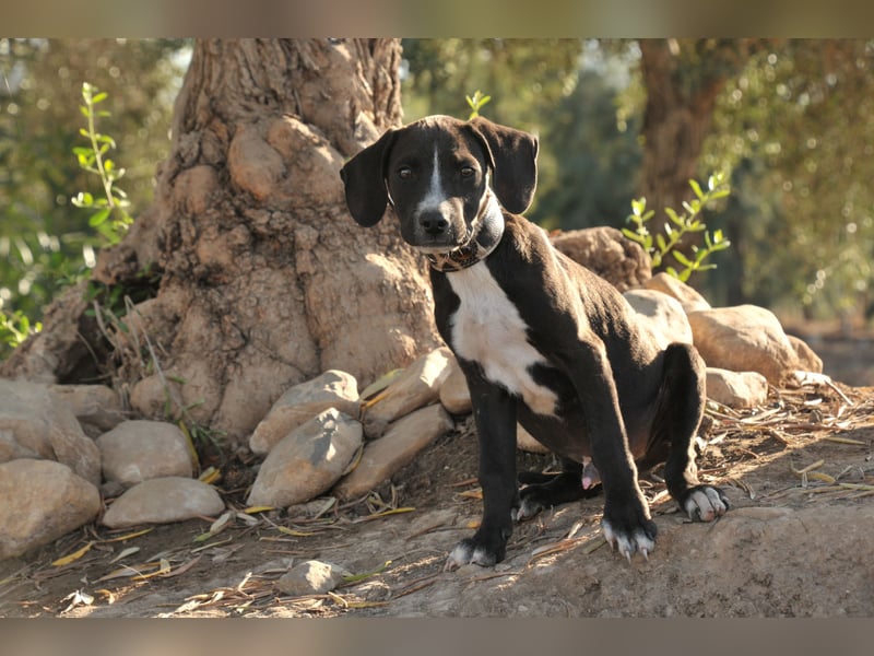 Zeigen Sie Ramon wie schön das Leben sein kann?