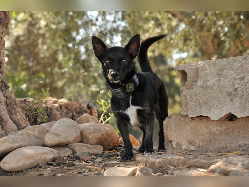 Darf Mia bei dir ihr Glück finden?