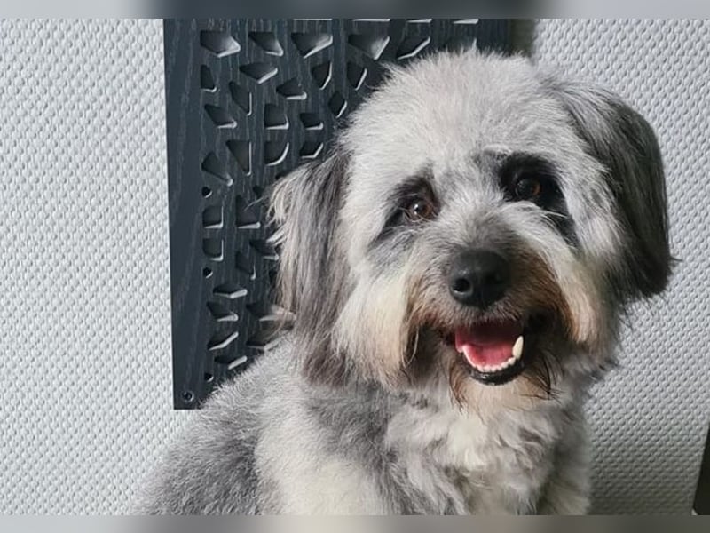 Darf Olaf gemeinsam mit dir wachsen?