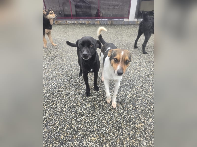 Wer zeigt Vinci wie schön ein eigenes Zuhause sein kann?