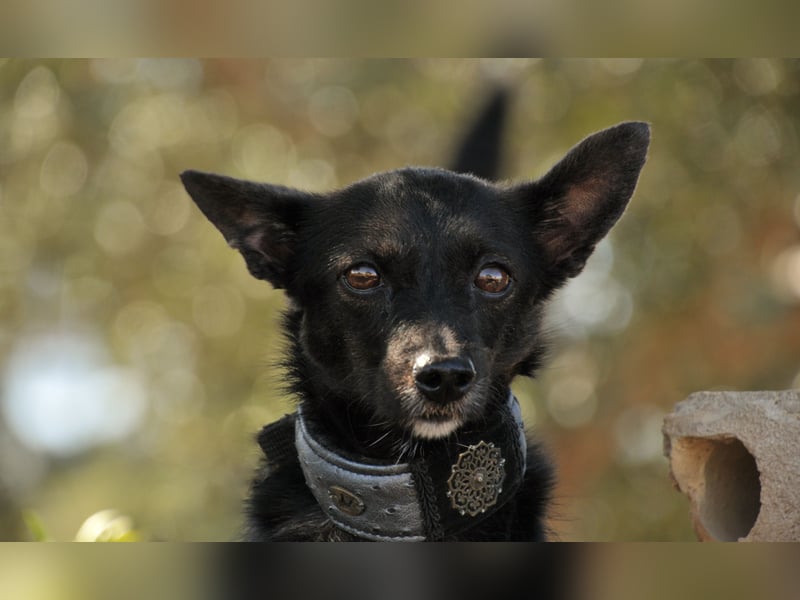 Darf Mia bei dir ihr Glück finden?