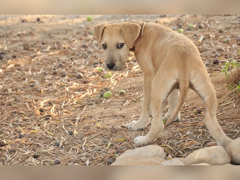 Zeigen Sie Rafael wie schön ein Zuhause ist?