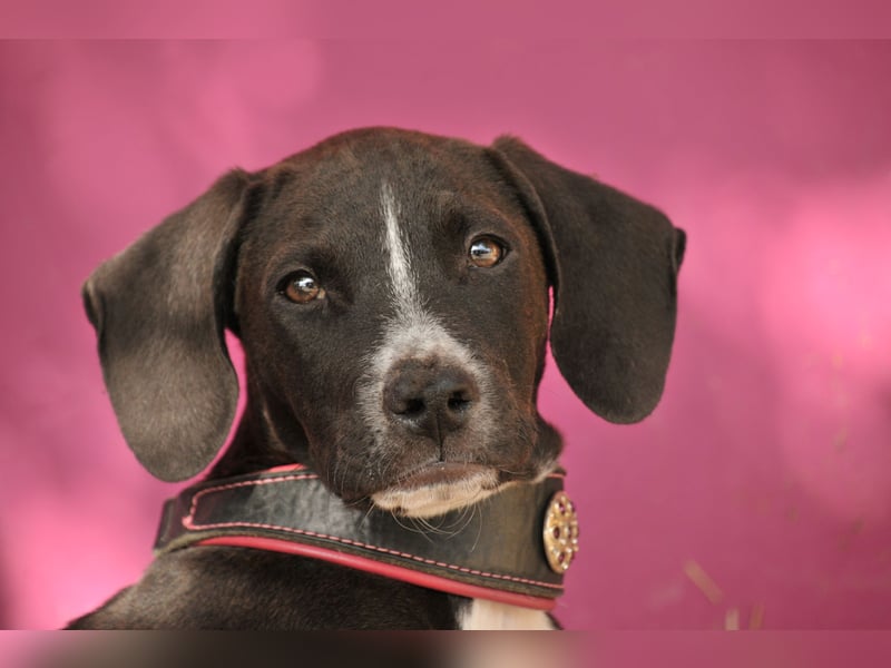 Zeigen Sie Ramon wie schön das Leben sein kann?