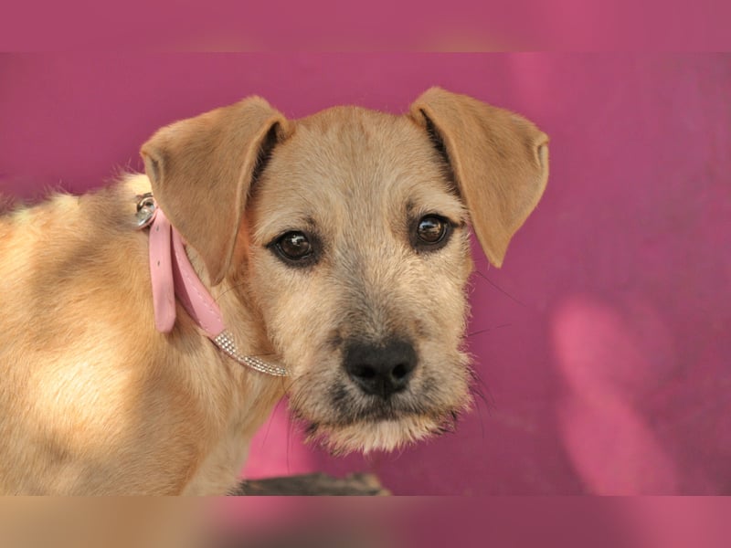 Zeigen Sie Rafael wie schön ein Zuhause ist?